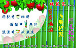 茶宣传广告