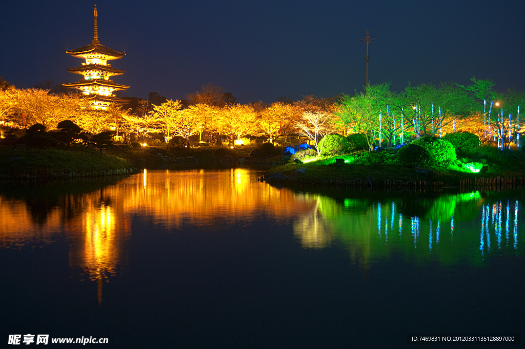 夜色樱花园