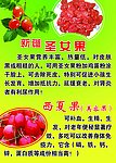 圣女果产品广告