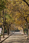 西北大学景观