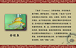 金桂鱼