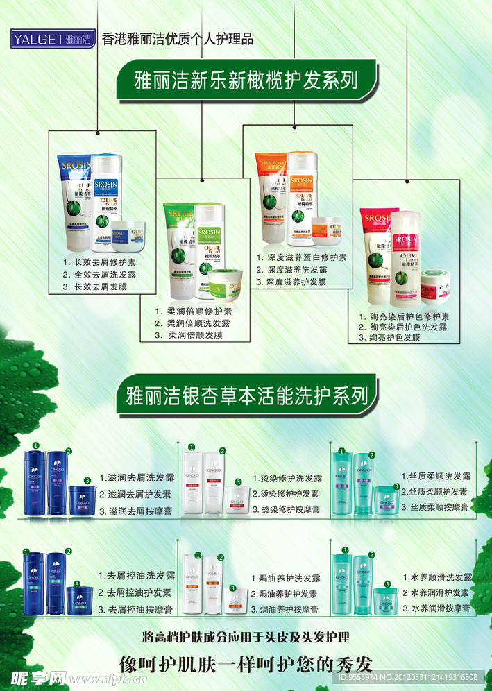 雅丽洁