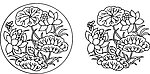 荷花矢量图