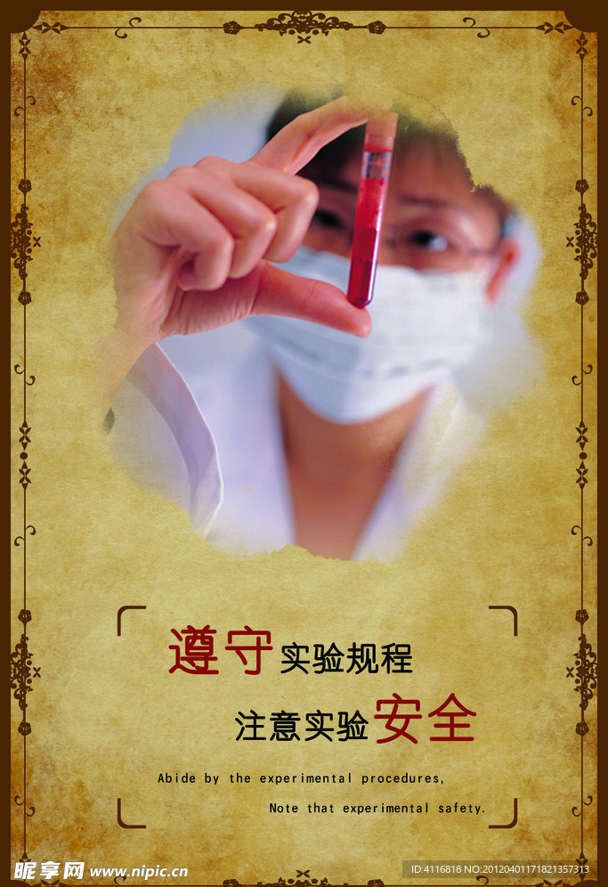实验文化