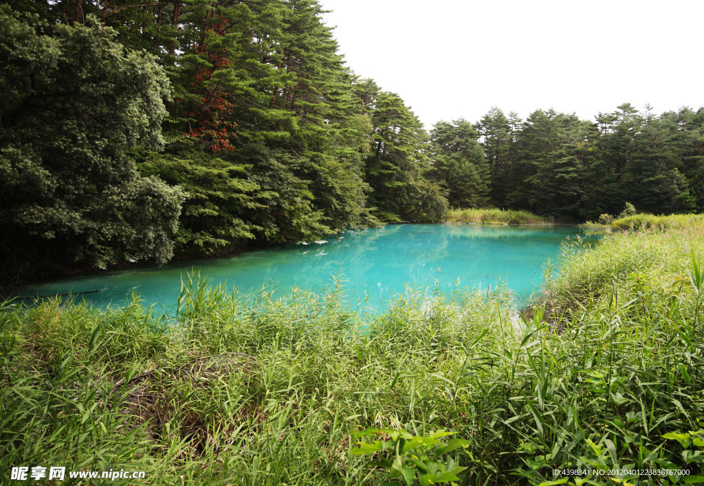 高清森林湖水