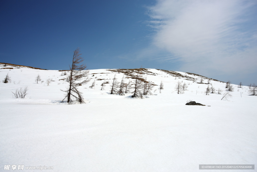 雪地景观