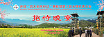 招待晚宴