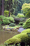 小桥流水风光