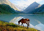 湖边风景