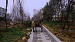 新村建设