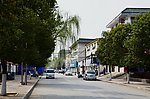 新村的柳树