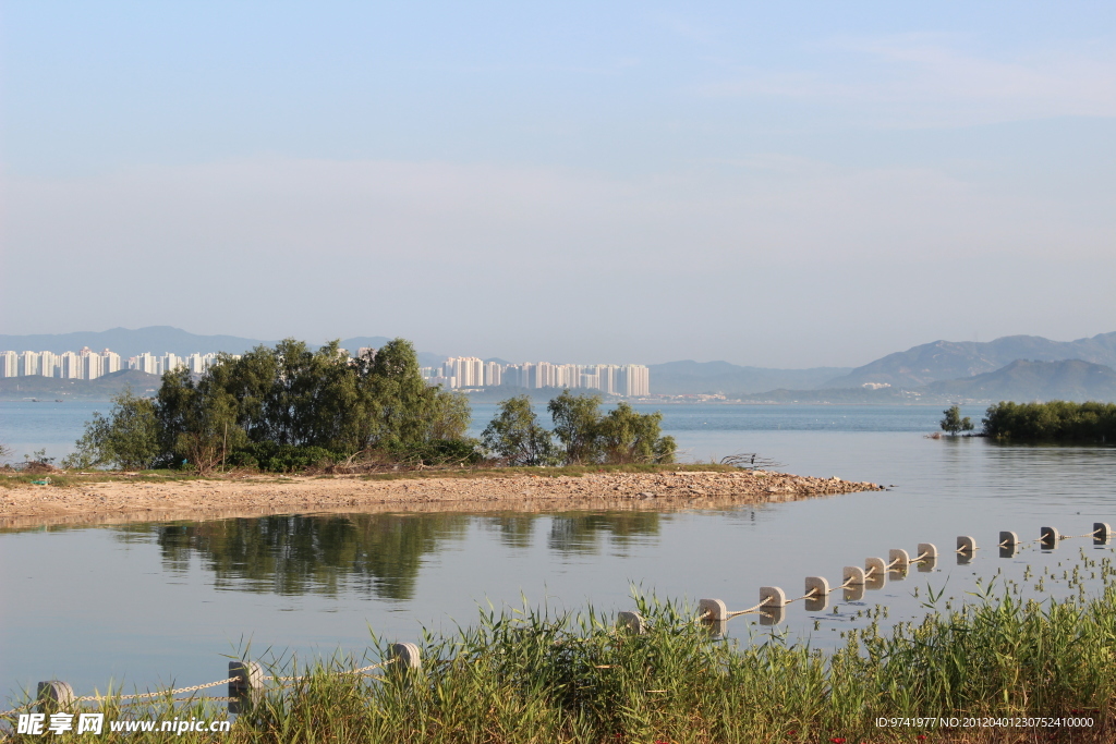 深圳湾海边