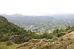山林