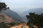 山林