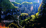 王莽岭风光