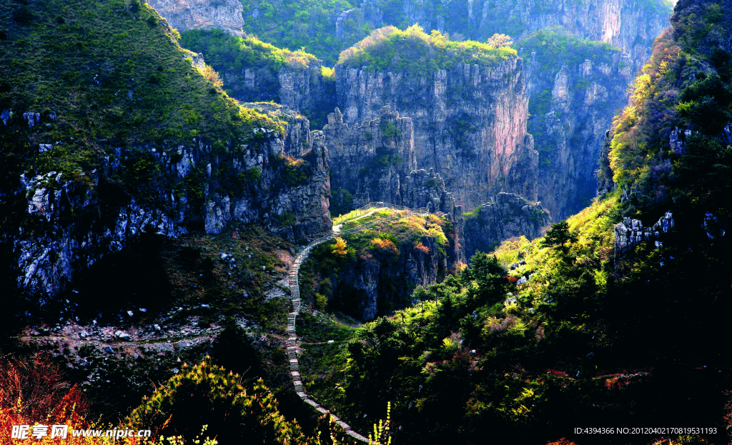 王莽岭风光