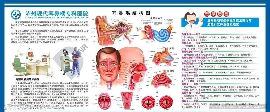 耳鼻喉剖面图