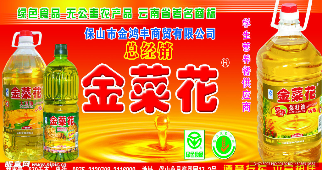 金菜花