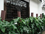 窗户