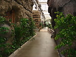 室内风景