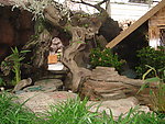 风景