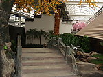 风景图
