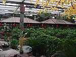 风景