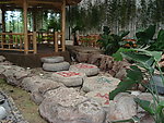 风景