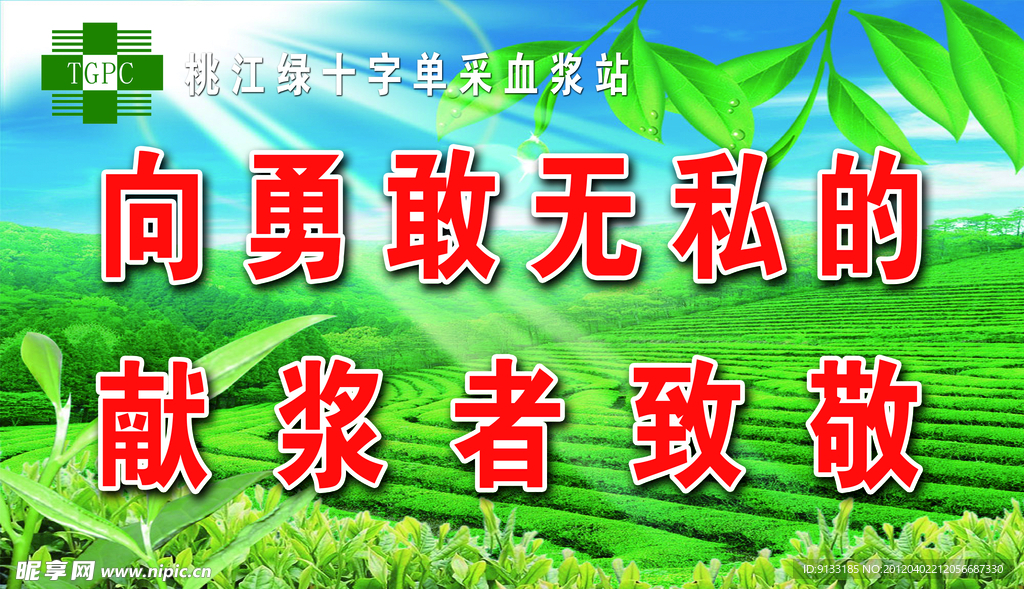 献血浆广告