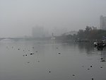 宁静的江面