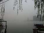 柳暗花明又一村