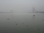 迷雾江面