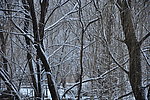 雪景