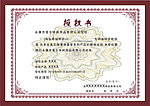 网络授权书模板