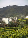 田园风光