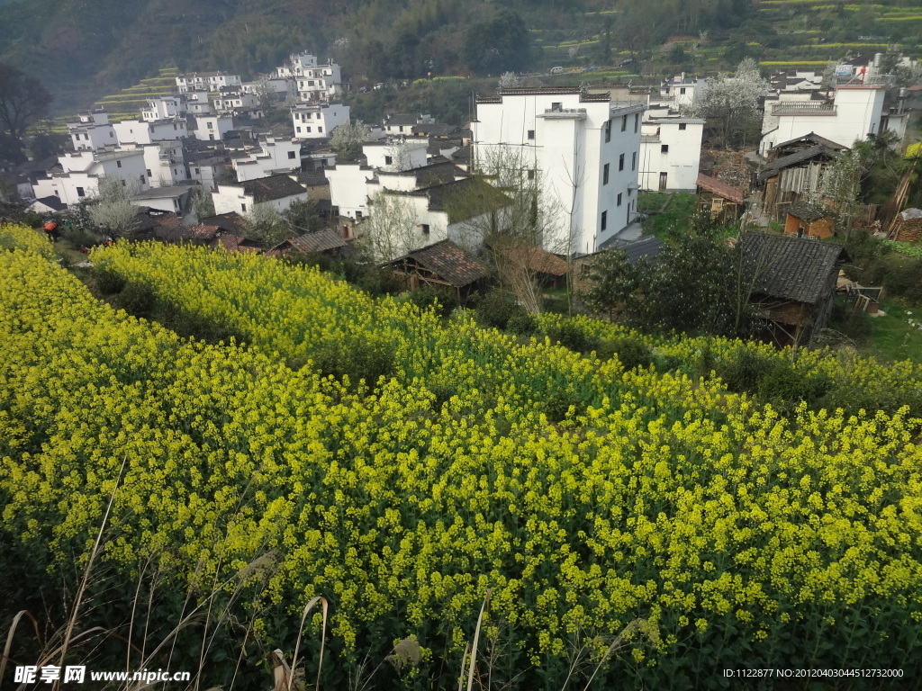 田园风光