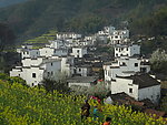 田园风光