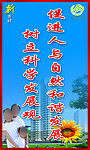计生展板