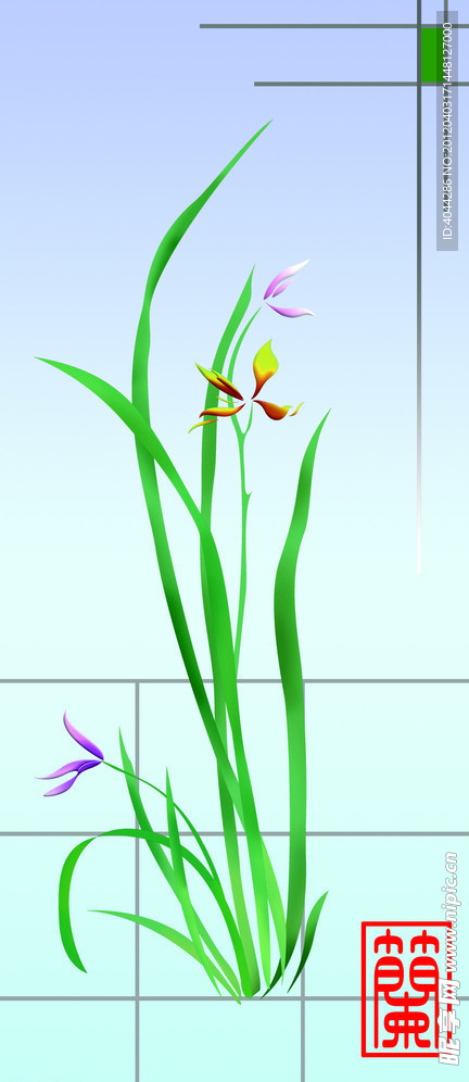 兰花