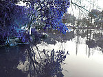 西湖风景