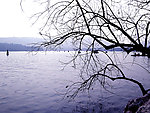 西湖风景