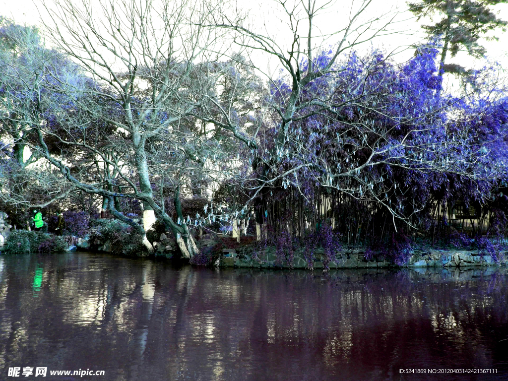 西湖风景