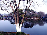 西湖风景