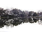 西湖风景
