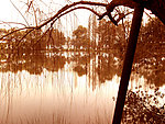西湖风景
