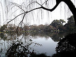 西湖风景