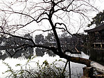 西湖风景