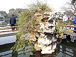 西湖风景