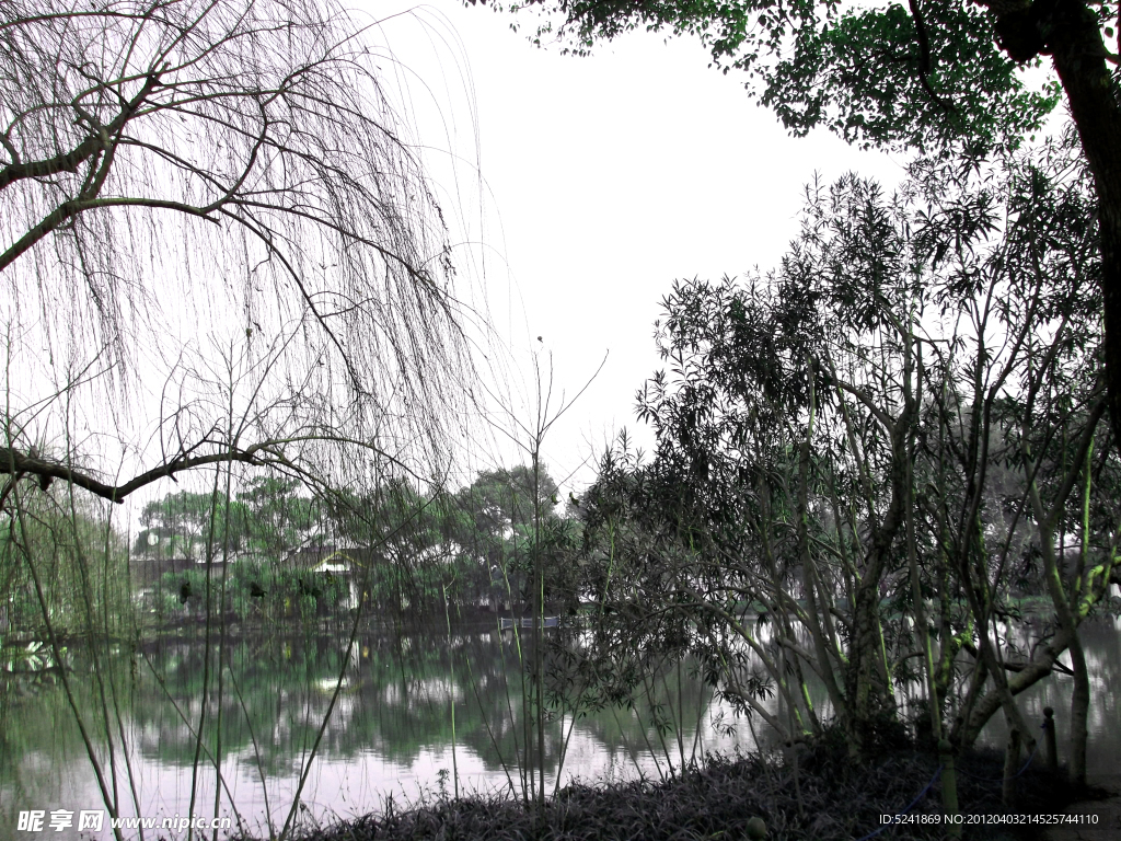 西湖风景
