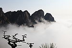 三清山云雾 绝美